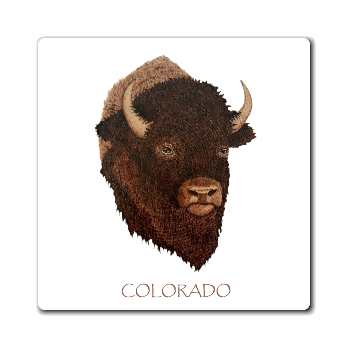 Magnets - Bison w/ "COLORADO"